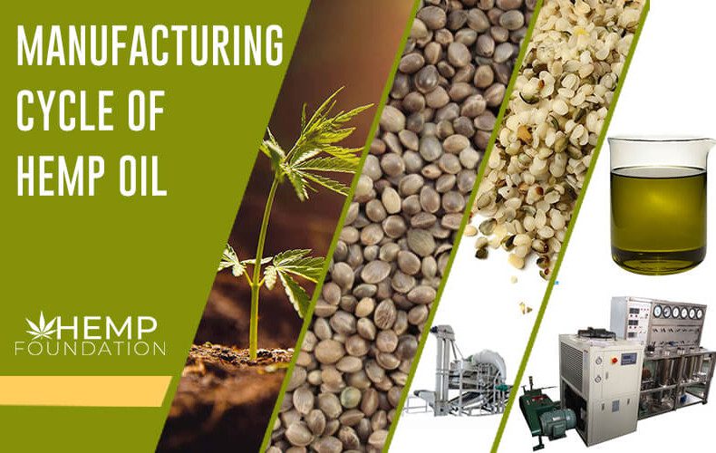 Hemp Oil Manufacturing