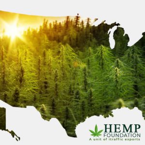 Why Regulation is the Biggest Hurdle for Hemp Entrepreneurs  in the US