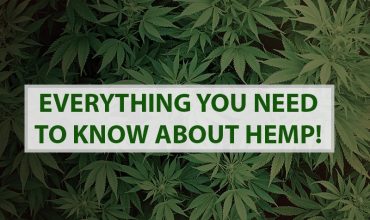 Everything You Need to Know About Hemp!