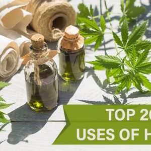 Top 20 Most Popular Uses Of Hemp Plant (In The US)