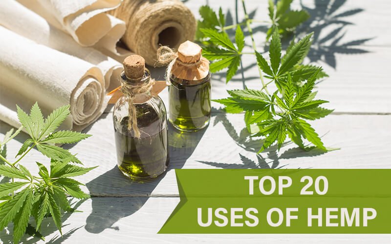 Top 20 Most Popular Uses Of Hemp Plant (In The US)