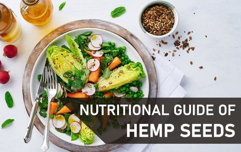 Hemp Seeds Benefits and Nutitrional guide