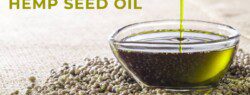 uses of hemp oil