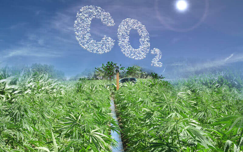 How Hemp Can Reduce Carbon Dioxide in the Air