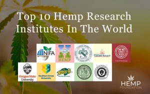 Top Hemp Research Institutes