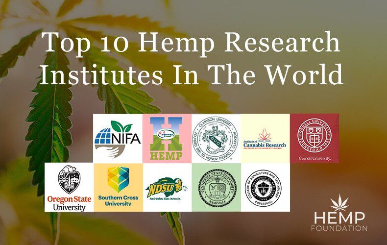 Top Hemp Research Institutes