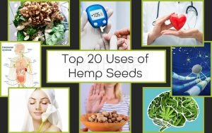 uses of hemp seeds