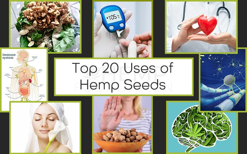 Top 20 Uses of Hemp Seeds
