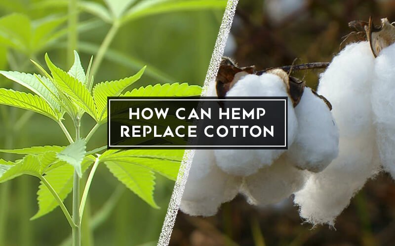 Can Hemp Replace Cotton?
