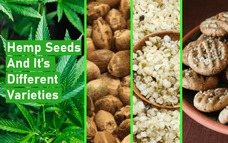 Hemp Seeds And It’s Different Varieties