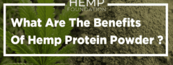 Benefits Of Hemp Protein Powder