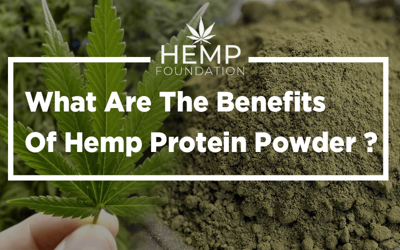 What Are The Benefits Of Hemp Protein Powder?