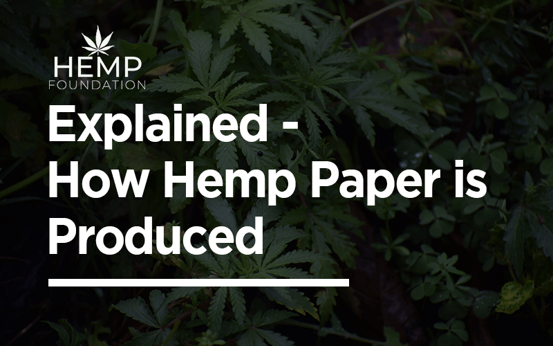 Explained – How Hemp Paper is Produced