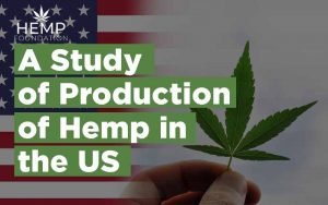 Hemp Production in the US