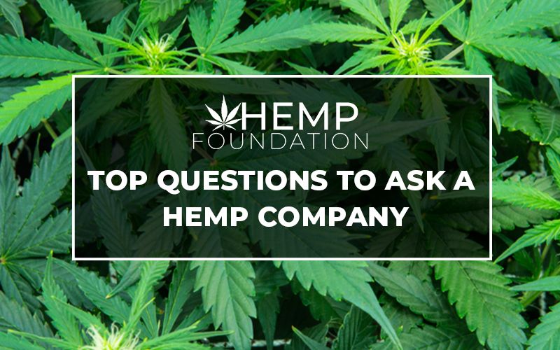 Looking for make a purchase of bulk order of hemp products in wholesale then take a break and read this blog to know what questions you should ask them.