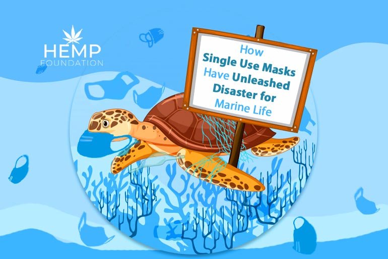 How Single Use Masks Have Unleashed Disaster for Marine Life
