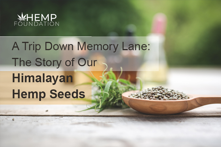 A Trip Down Memory Lane: The Story of Our Himalayan Hemp Seeds