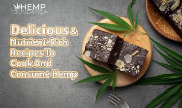 Delicious & nutrient-rich recipes to cook and consume Hemp