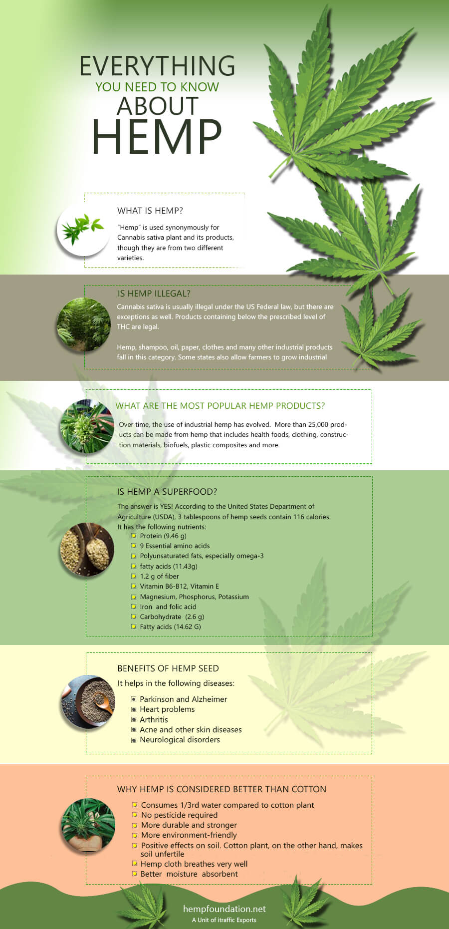 Everything-about-Hemp-Infographics