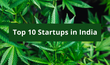 Top 10 Hemp Startups in India