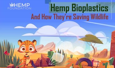 Hemp Bioplastics, And How They’re Saving Wildlife