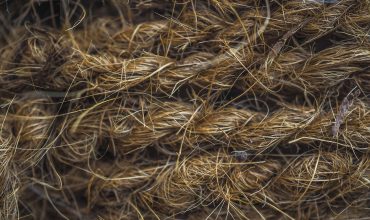 Hemp Vs Linen: Similarities And Differences