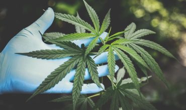 How to Reduce Plastic use in Cannabis Cultivation
