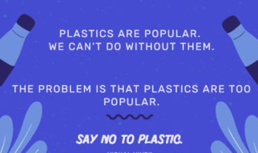 Are Hemp Bioplastics Really Sustainable?