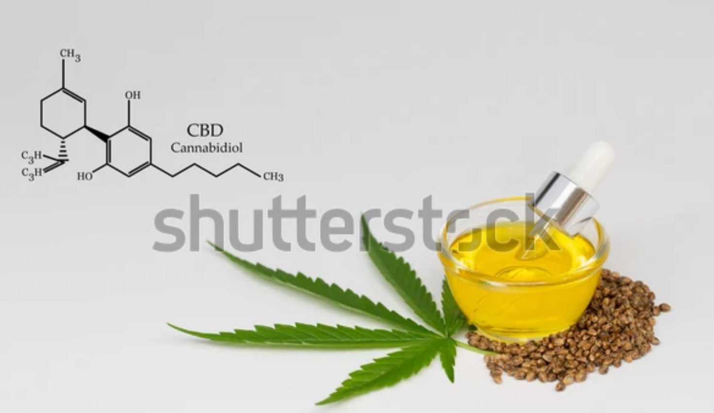 What Are the Benefits of Hemp Seed Oil? - Dresdner Essence