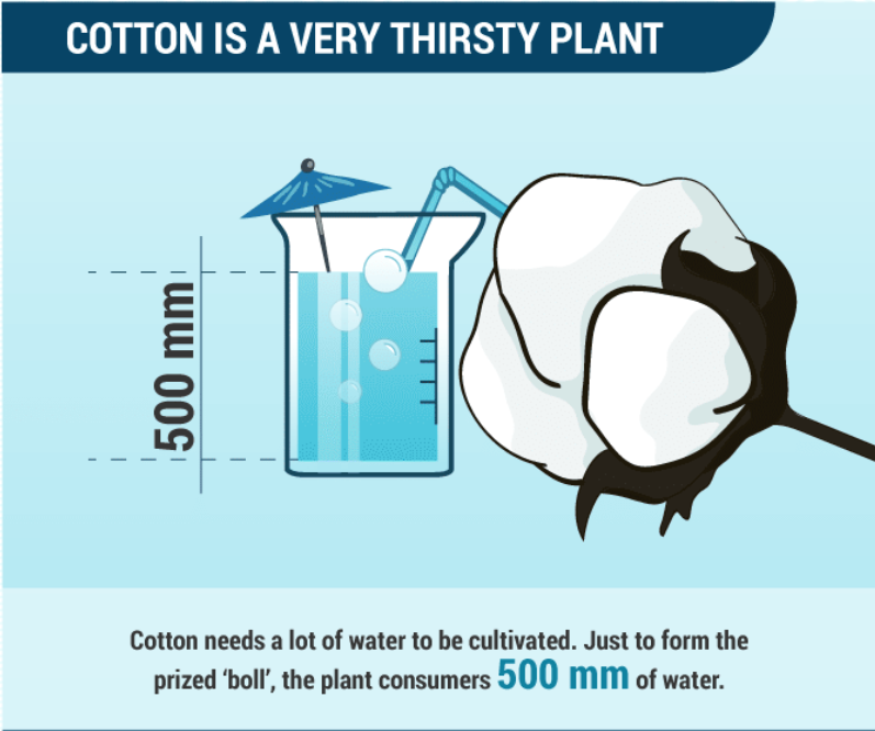 Pitfalls of the cotton industry and the alternative water consumption