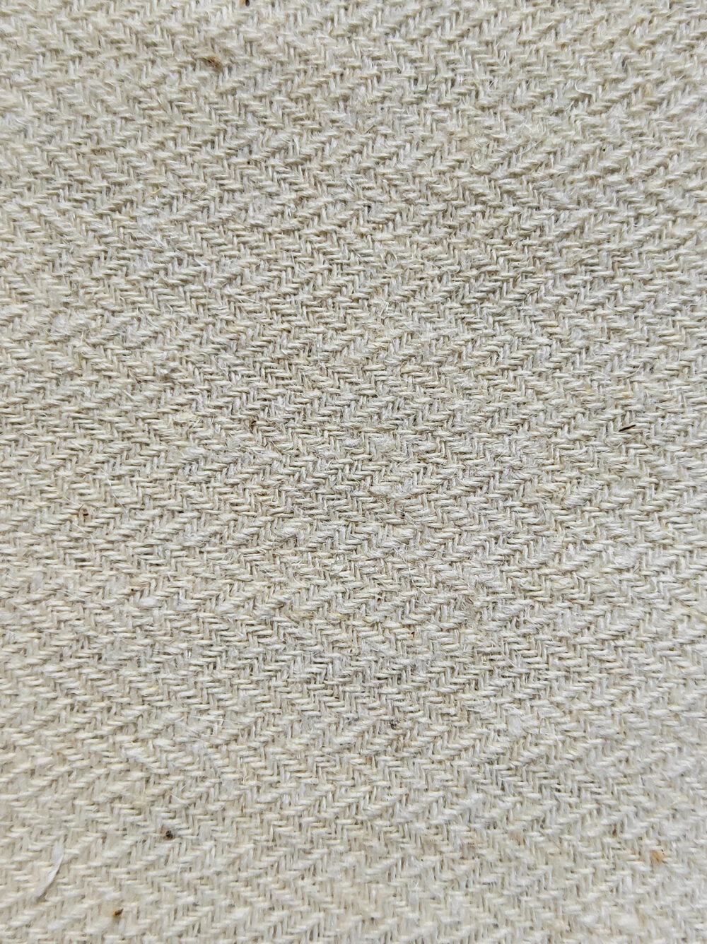 Maya Fabric