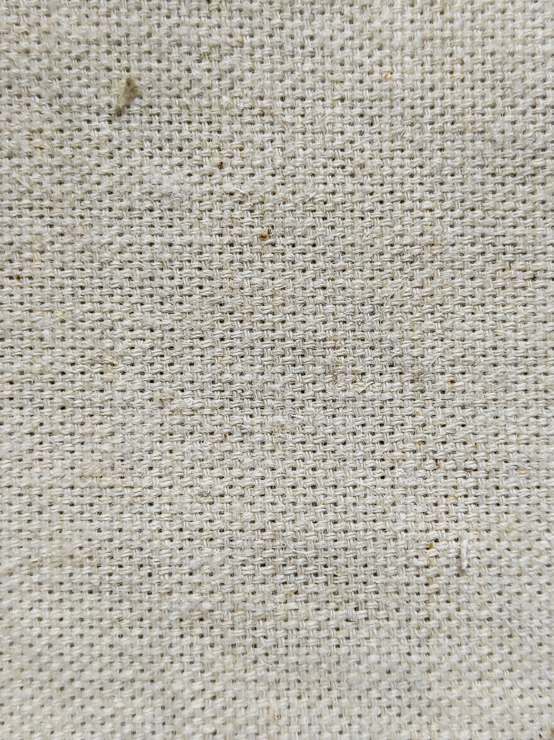 Raksha Hemp/Cotton Canvas Fabric 300 – 310 GSM 63 Inches Greige