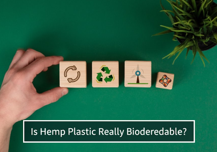 Is Hemp Plastic Really Biodegradable?