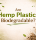 220-Are-Hemp-Plastics-Biodegradable-What-Science-Says-