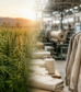 How-Is-Hemp-Fabric-Made-From-Field-to-Finished-Textile