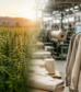 How Is Hemp Fabric Made