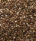 State-of-the-Hemp-Seeds-Market-in-India